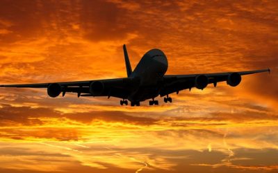 #TBT Past Poetry: Flown Away