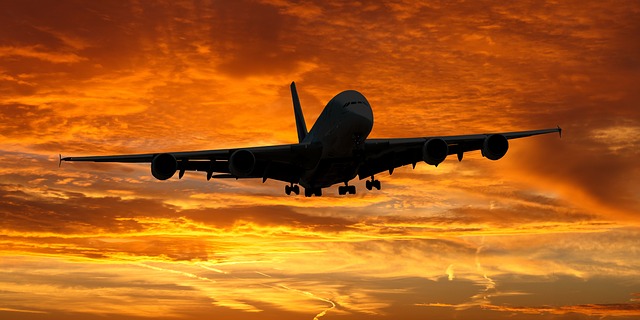 #TBT Past Poetry: Flown Away