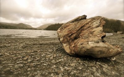 #TBT Past Poetry: A Grasmere Poem