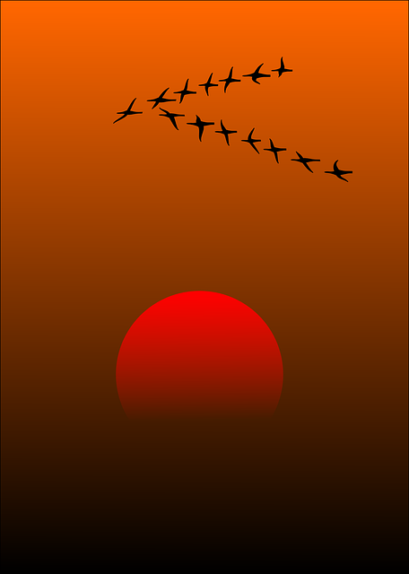 #TBT Past Poetry: Lines of Fire