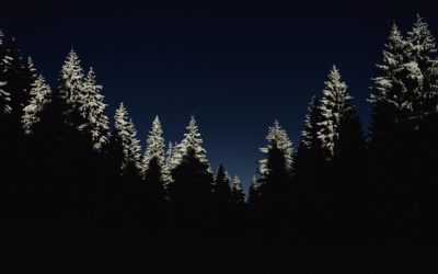 #tbt Past Poetry: Invading Darkness