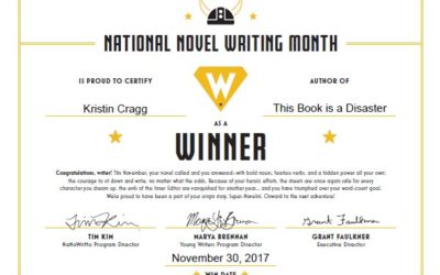 NaNoWriMo Follow-up Part 2