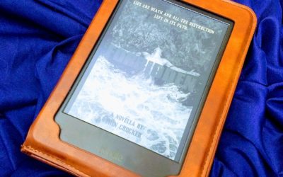 Book Review: Forbidden by Erin Crocker